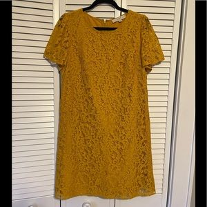 LOFT Yellow Lace Dress
